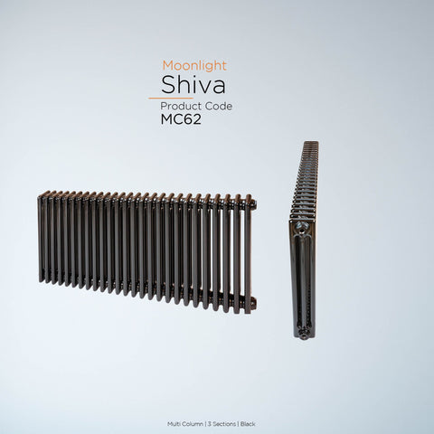 Shiva